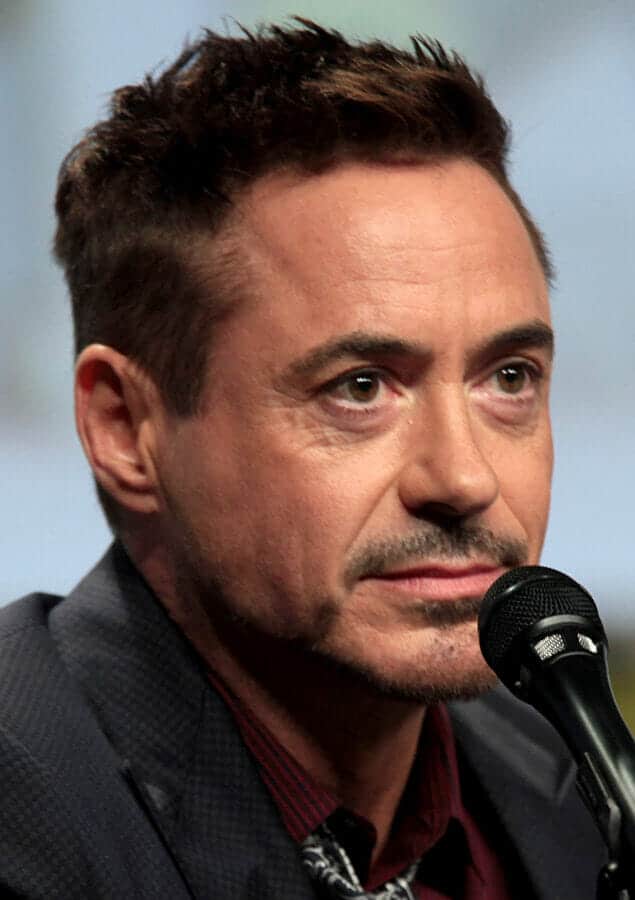 Robert Downey Jr 2014 Comic Con cropped