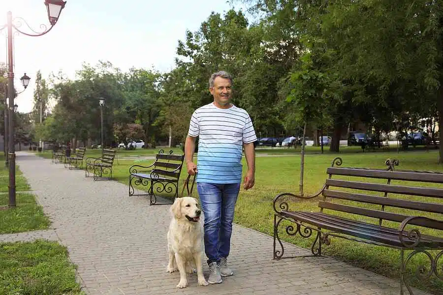 walk a dog to meet a single man over 50